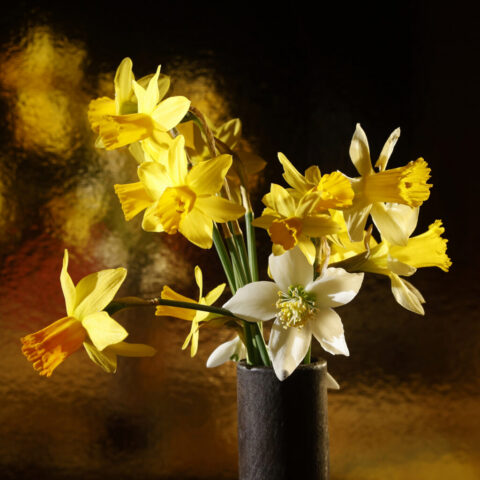 3eme-Bouquet d'or-Sylvie Blangeot